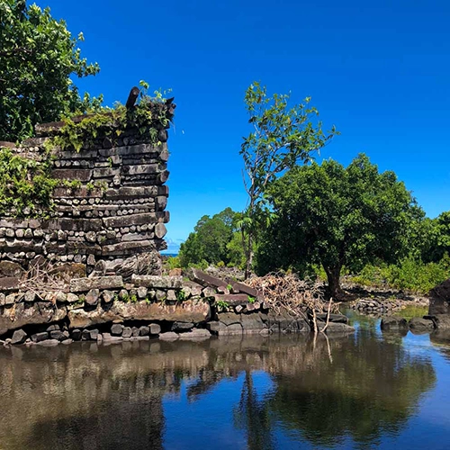 Pohnpei Surf Club & Mangrove Bay Hotel