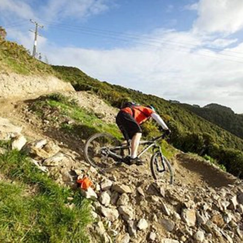 Rangituhi Trail Park