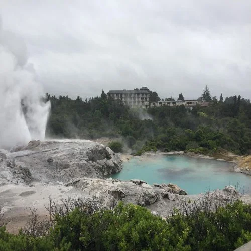 Rotorua, New zealand, Geyser