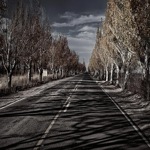 Route, Mendoza, Argentina
