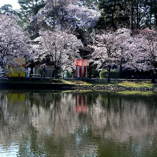 Saitama Prefecture Omiya Park