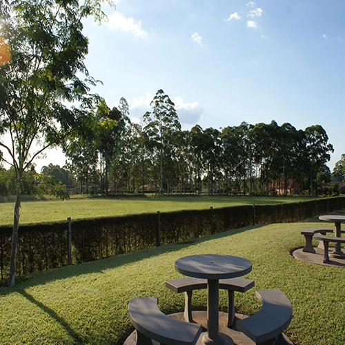 Santa barbara, Grass, Blue sky