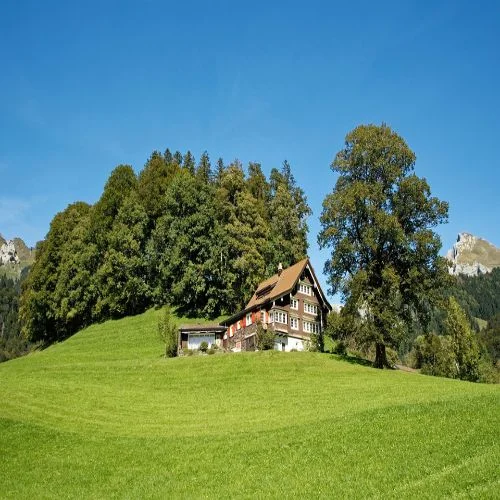 Switzerland, Canton of st gallen, Alps