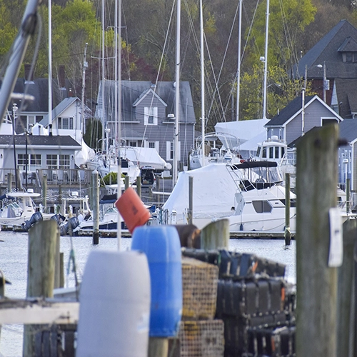 Wickford, Rhode island, Fishing
