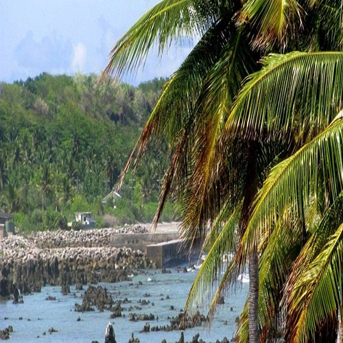 anibare harbor nauru micronesia palm trees coast