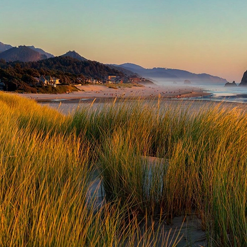cannon beach grass sea oregon usa