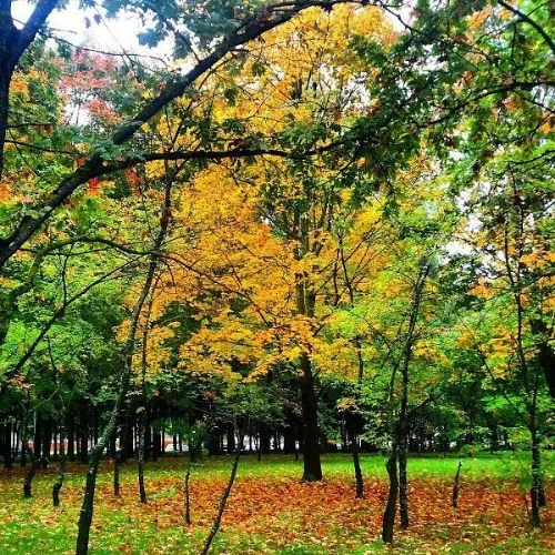 lithuania panevezys europe cultural leisure park autumn