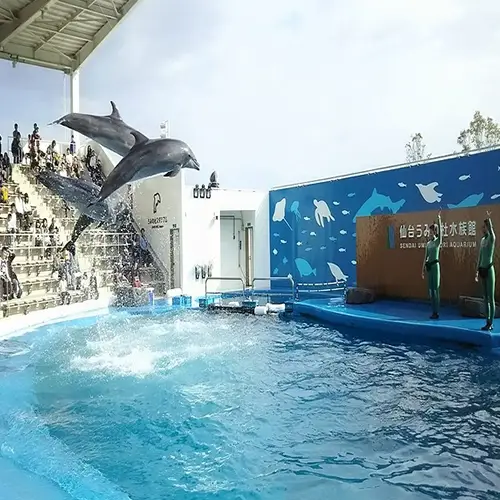 sendai-umino-mori-aquarium-dolphins-japan-show