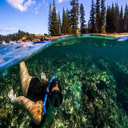 snorkelling at emily