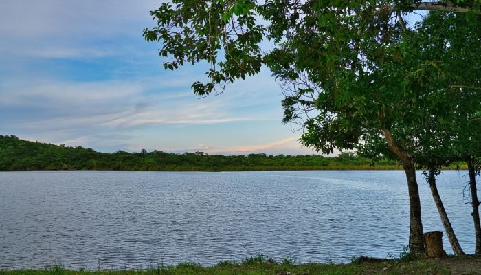 Aguacate lagoon, Lake, Belize