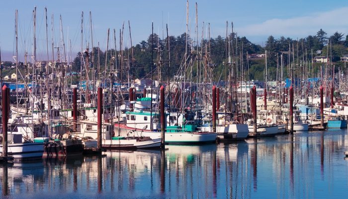 Oregon, Coast, Newport